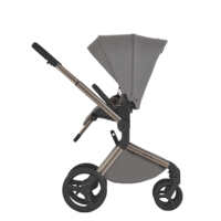 Дитяча коляска 2в1 Anex Flo Charm (fl-02с/fl-02f)