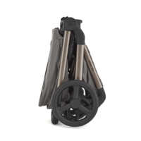 Дитяча коляска 2в1 Anex Flo Charm (fl-02с/fl-02f)