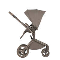 Дитяча коляска 2в1 Anex Flo Yuki (fl-03с/fl-03f)