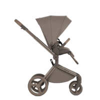 Дитяча коляска 2в1 Anex Flo Yuki (fl-03с/fl-03f)