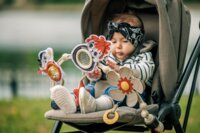 Дуга для коляски с игрушками Tiny Love Rock N Roll (1405400030)