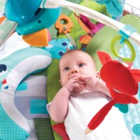 Розвиваючий килимок Tiny Love Весела Галявина (1205006830)