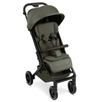 Прогулочная коляска ABC Design Ping 3 Trekking Avocado (12004982500) 