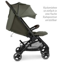 Прогулочная коляска ABC Design Ping 3 Travel Pine (12004972302)