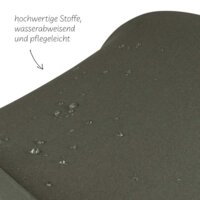 Прогулочная коляска ABC Design Ping 3 Travel Pine (12004972302)