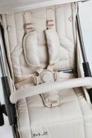 Прогулянкова коляска Mast M.2 Lion (MA-M2-LIN)