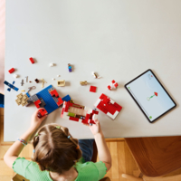 Конструктор LEGO Minecraft Грибний будинок (21270)