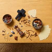 Конструктор LEGO Icons Літальний апарат Леонардо да Вінчі (10363)