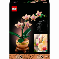 Конструктор LEGO Botanicals Мини орхидея (10343)