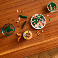 Конструктор LEGO Botanicals Мини орхидея (10343)