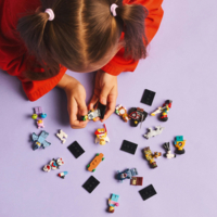 Конструктор LEGO Minifigures Серія 27 (71048)