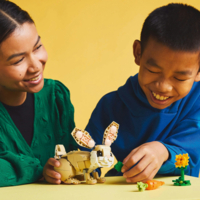 Конструктор LEGO Creator Очаровательный кролик (31162)