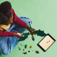 Конструктор LEGO NINJAGO Зеленый лесной дракон Ллойда (71829)