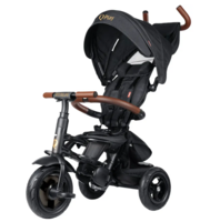 Велосипед складаний триколісний дитячий Qplay Rito Deluxe Black (S380-17RitoDeluxeBlack) 