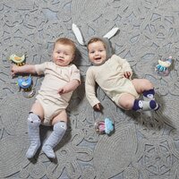 Брязкальце - Сонний Місяць (12065)