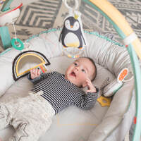 Розвиваючий музичний кокон з дугами Taf Toys Полярне сяйво 4-в-1 Затишне гніздечко