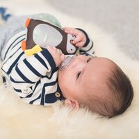 Розвиваюча іграшка-підвіска Taf Toys колекції "Полярне сяйво" ПРИНЦ-ПИНГВИНЧИК (12305)