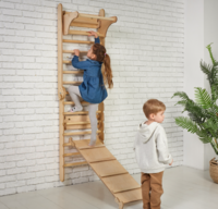 Тренувальний комплекс Goodevas: шведська стінка, гірка, спортивна гойдалка (E268)