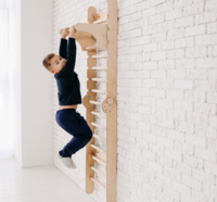 Тренувальний комплекс Goodevas: шведська стінка, гірка, спортивна гойдалка (E268)