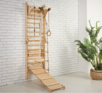 Тренувальний комплекс Goodevas: шведська стінка, гірка, спортивна гойдалка (E268)