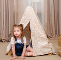 Намет-накриття з килимком для трикутної драбини Goodevas (E303) 