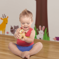 Ігровий набір Kiddieland Домашні тварини (041244)