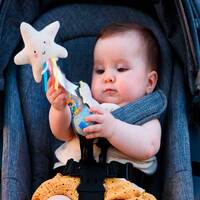 Погремушка Taf Toys Звездочка (12645)