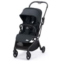Прогулянкова коляска Recaro Lexa Elite Prime / Mat Black (89310300050) 