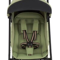 Прогулочная коляска Anex Air-X² Vert (Ax2-03)