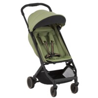 Прогулочная коляска Anex Air-X² Vert (Ax2-03)