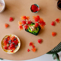 Конструктор LEGO Botanicals Бонсай из японского красного клена (10348)