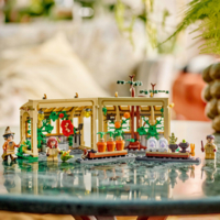 Конструктор LEGO Harry Potter Замок Хогвартс: урок гербологии (76445)