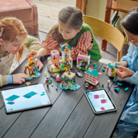 Конструктор LEGO Disney Замок принцессы и королевские любимцы (43267)