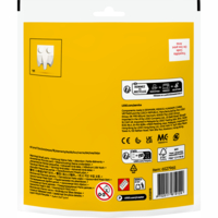 Конструктор LEGO Creator Різдвяні забави з димарем із Сантою (30692)