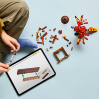 Конструктор LEGO Harry Potter Фоукс: феникс Дамблдора (76448)