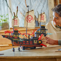 Конструктор LEGO NINJAGO Щедрость храма (71848)