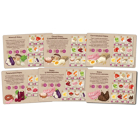 Настольная игра Lord of Boards Борщ (LOB2404UA)