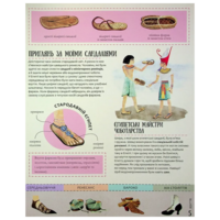 Енциклопедія звичайних речей. Секанінова Ш. (9786178439002)