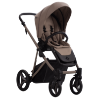 Универсальная коляска 2в1 Bebetto Pelpasso PRO 04 Kashmir (503.43.25.K04)