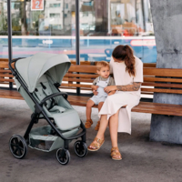 Прогулянкова коляска ABC Design Avus 2 Pine (12004992302)