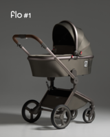 Детская коляска 2в1 Anex Flo #1 (fl-SE-01c)