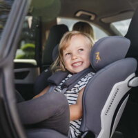 Автокрісло Storchenmuhle Niki kid i-Size Iris (102-265-307)