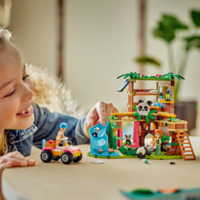 Конструктор LEGO Friends Догляд за тваринами в заповіднику панд (42648)