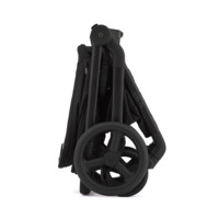 Дитяча коляска 2в1 Anex Flo Lungo (fl-05с/fl-05f)