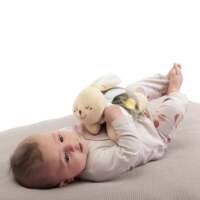 М'яка іграшка-грілка Chicco "Тепле зайченя Dou Dou" (12161.00)