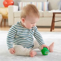 Брязкальце Fisher-Price Диво-звірі (GJW22)