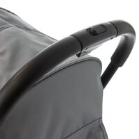 Прогулянковий візочок Babyhit Colibri Ash Grey