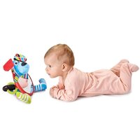 Развивающая игрушка Мое первое зеркальце Собачка Yookidoo (25305)