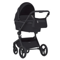 Сумка-органайзер Anex, чорна (AC/ON-01 black)