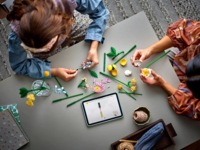 Конструктор LEGO Botanicals Міниатюрный солнечный букет (10347)